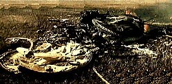 Soyuz 1 seen after the crash.