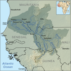 The Toucouleur trace their roots to the Senegal River valley at the border of Senegal and Mauritania