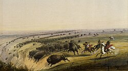 Depiction of Bison being driven over a "buffalo jump".