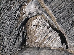 Volcanic glass (“Pele’s hair”) from Volcanoes National Park, Hawaii. Photo by Douglaspperkins, 2006. Public domain.