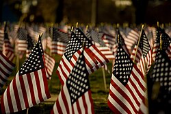 Flags covering the National Mall