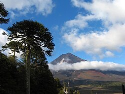 Llaima volcano post eruption 2008