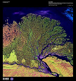 Lena River Delta: False-color satellite image from the NASA / USGS "Earth as Art" collection