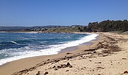 Carmel Bay viewed from the beach