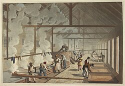 Slaves working in the boiling house, 1823