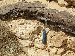 Cretaceous iron-rich laterite (the dark unit) in Hamakhtesh Hagadol, southern Israel.