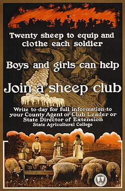 A World War I-era poster sponsored by the United States Department of Agriculture encouraging children to raise sheep to provide needed war supplies