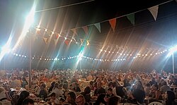 The wine festival in Mantzavinata.