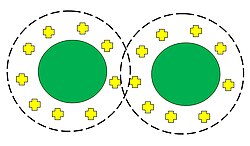 Particle in solution stabilized via the electrostatic double-layer force