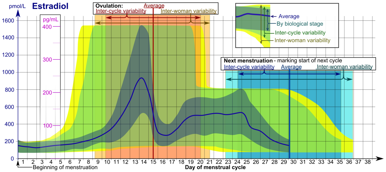 Reference ranges for the blood content of estradiol during the menstrual cycle - The ranges denoted By biological stage may be used in closely monitored menstrual cycles in regard to other markers of its biological progression, with the time scale being compressed or stretched to how much faster or slower, respectively, the cycle progresses compared to an average cycle. - The ranges denoted Inter-cycle variability are more appropriate to use in unmonitored cycles with only the beginning of menstruation known, but where the woman accurately knows her average cycle lengths and time of ovulation, and that they are somewhat averagely regular, with the time scale being compressed or stretched to how much a woman's average cycle length is shorter or longer, respectively, than the average of the population. - The ranges denoted Inter-woman variability are more appropriate to use when the average cycle lengths and time of ovulation are unknown, but only the beginning of menstruation is given.[92]