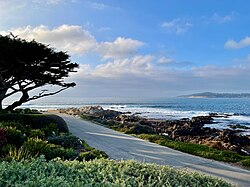 View from Carmel Point