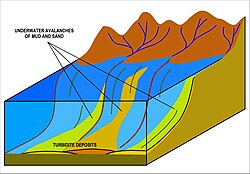 Turbidites are deposited in the deep ocean troughs below the continental shelf, or similar structures in deep lakes, by underwater avalanches which slide down the steep slopes of the continental shelf edge. When the material comes to rest in the ocean trough, it is the sand and other coarse material which settles first followed by mud and eventually the very fine particulate matter. It is this sequence of deposition that creates the Bouma sequences that characterize these rocks.