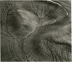 Sheet erosion, Pullman, Washington, 1946