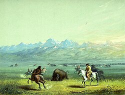 Wounded buffalo, by Alfred Jacob Miller