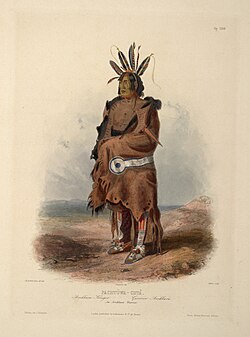 Arikara warriorBodmer (1840–1843)