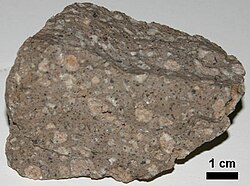 Andesite porphyry from summit of O'Leary Peak. This is an extrusive porphyritic rock, as the pink (and black) phenocrysts are clearly visible, in contrast to the grey groundmass with its microscopic crystals.