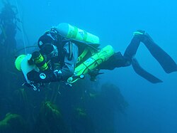 Solo diver surveying dive site. The bailout cylinder can be seen slung at the diver's left side.