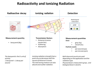 Relationship between radioactivity and detected ionizing radiation. Key factors are strength of the radioactive source, transmission effects and instrument sensitivity