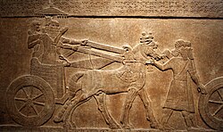 The capture of the city of "Astartu" (thought to be Ashteroth in the land of king Og of Bashan, east of the Jordan River), by the Assyrian king Tiglath-Pileser III about 730–727 BCE, as depicted on a palace relief now kept on display at the British Museum.[6]