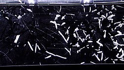 Radon in a cloud chamber. The ionizing radiation of radon causes condensation to appear as cloud tracks in the chamber.