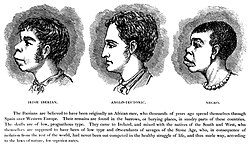 A late-19th-century illustration from Ireland from One or Two Neglected Points of View by H. Strickland Constable shows an alleged similarity between "Irish Iberian" and "Negro" features in contrast to the "higher" "Anglo-Teutonic".
