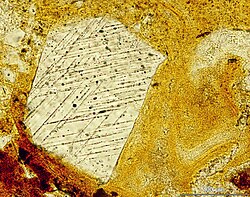 Shocked quartz with two sets of ‘decorated’ planar deformation features in impact melt rock from the Suvasvesi South impact structure, Finland (thin section photomicrograph, plane polarized light).