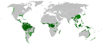 World map of rainforests Tropical rainforest Temperate/subtropical rainforest
