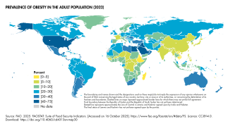 Prevalence of obesity in the adult population in 2022[203]