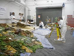 Rover team members simulate Spirit in a Martian sandtrap.