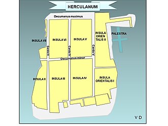 Insulae numbers of main excavated area