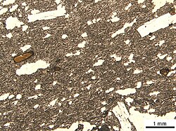 Texture in a thin section of tholeiitic basalt