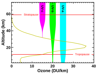 Levels of ozone at various altitudes and blocking of different bands of ultraviolet radiation. Essentially all UVC (100–280 nm) is blocked by dioxygen (at 100–200 nm) or by ozone (at 200–280 nm) in the atmosphere. The shorter portion of this band and even more energetic UV causes the formation of the ozone layer, when single oxygen atoms produced by UV photolysis of dioxygen (below 240 nm) react with more dioxygen. The ozone layer itself then blocks most, but not quite all, sunburn-producing UVB (280–315 nm). The band of UV closest to visible light, UVA (315–400 nm), is hardly affected by ozone, and most of it reaches the ground.