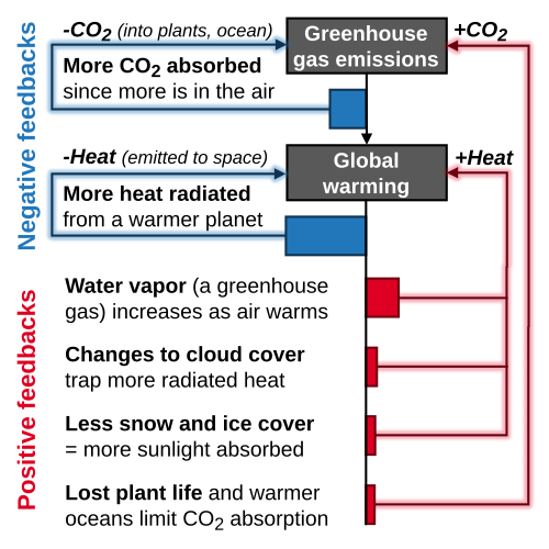 The relative magnitude of the top 6 climate change feedbacks and what they influence. Positive feedbacks amplify the global warming response to greenhouse gas emissions and negative feedbacks reduce it.[1] In this chart, the horizontal lengths of the red and blue bars indicate the strength of respective feedbacks.