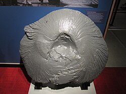 A chunk of armour knocked from HMS New Zealand's "X" turret during the Battle of Jutland on display at the Torpedo Bay Navy Museum in Auckland. Caption reads, "The chunk of armour plating you see here was gouged out of X turret by a German shell."