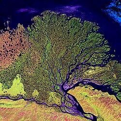 A satellite perspective of the river delta of the Lena river, Russia.
