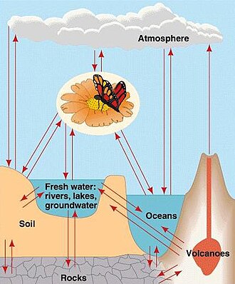 Generalized biogeochemical cycle[2]