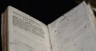 Pages riddled with bookworm damage on Errata