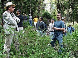 Foresters of Southern University of Chile in the Valdivian forests of San Pablo de Tregua, Chile.