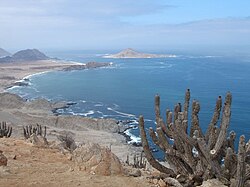 Pan de Azúcar National Park in Atacama Desert