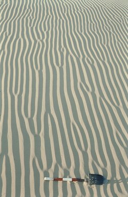 Wind ripples on crescent-shaped sand dunes (barchans) in southwest Afghanistan (Sistan)