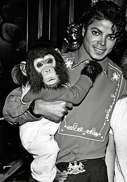 Jackson with his pet chimpanzee Bubbles in 1986