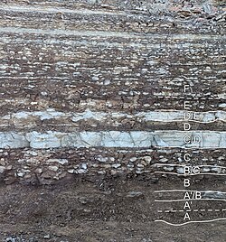 Outcrop of Ordovician oil shale (kukersite), northern Estonia