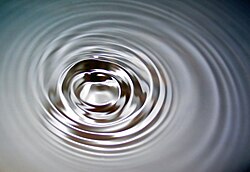 Surface waves in water