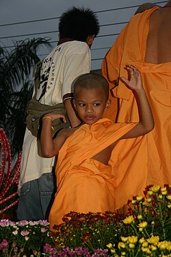 Young novice monk on Vesak Day Parade