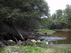The entire surface water flow of the Alapaha River near Jennings, Florida, going into a sinkhole leading to the Floridan Aquifer groundwater