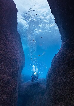 Air bubbles rising from a scuba diver in water
