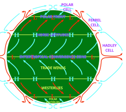 An idealised view of three pairs of large circulation cells