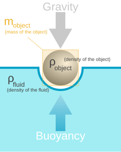 The forces at work in buoyancy. The object floats at rest because the upward force of buoyancy is equal to the downward force of gravity.