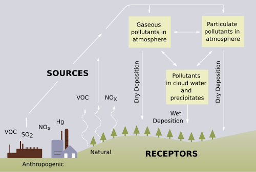 Processes involved in acid deposition (only SO2 and NOx) play a significant role in acid rain