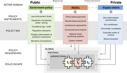 An incomplete concept of a framework of policy mix sequencing for zero-deforestation governance. Non-intervention in processes related to beef production via policies may be a main driver of tropical deforestation.